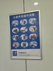 -大麦微针植发丨全国连锁