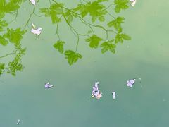 -龙潭水乡