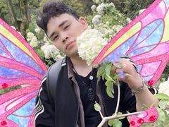 -铁山坪森林公园