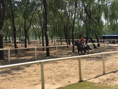 -顺鑫绿色度假村