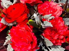 -blt精品超市(KKMALL京基店)