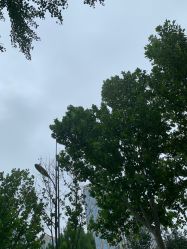 -HEYAN长风荷妍专业脱毛美肤
