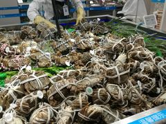 -盒马鲜生(大成店)