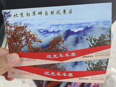 -白草畔自然风景区