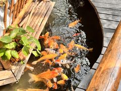 -上海大自然野生昆虫馆
