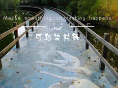 -沈阳鸟岛