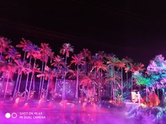 -三亚红色娘子军演艺公园景区
