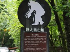 -神农架景区