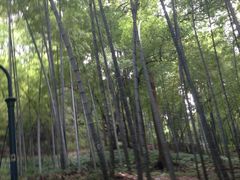 iphone_upload_pic-杭州黄龙洞