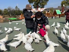 -安徽大青山野生动物世界