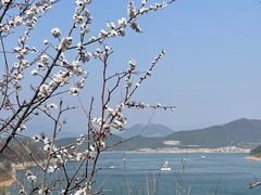 -北京金海湖景区