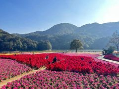 -广州市石门国家森林公园