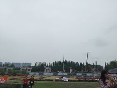 -秀丽东方