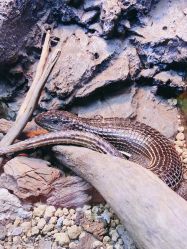 -酷嗒动物文化乐园(cutezoo西溪乐天城店)