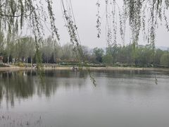 -北坞公园