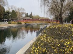 -元大都城垣遗址公园