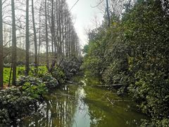 -上海滨江森林公园
