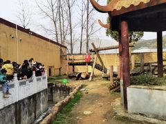 -杭州野生动物世界