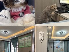 -半岛宠物医院24小时(西派城店)