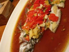 -丹江渔村(望京店)