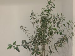 -CAKE WANG千层制造所(省府店)