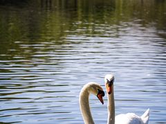 -杭州野生动物世界