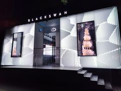 -BLACKSWAN黑天鹅(环球店)