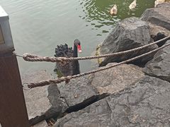 -上海怡沁园度假酒店
