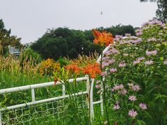 -国家植物园南园