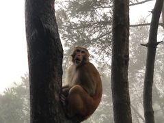 -重庆雨台山风景区