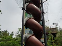 -欢乐松鼠谷