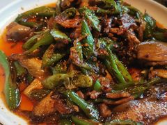 青椒回锅肉-陈麻婆豆腐(春熙店)