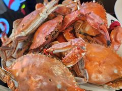 -富力希尔顿酒店·地阔自助餐厅