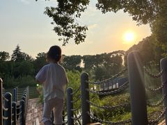 -柳鹭田园区