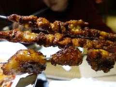 大漠羊肉串-福宝漠北·牛羊肉(广埠屯店)