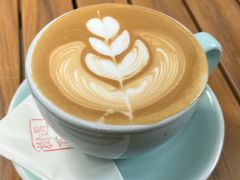 -樹下遇见树·咖啡