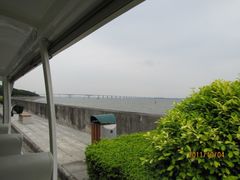 -大湾区中央湿地公园
