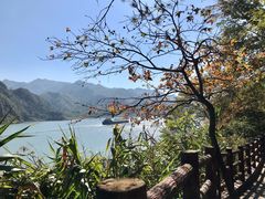 -羚羊峡古栈道森林公园