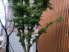 -金陵中学(河西分校)