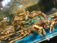 -盒马鲜生(皇庭广场店)