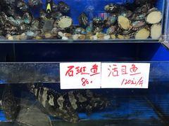 水产区-张树军海鲜(王府壹号店)