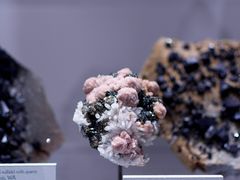 -墨尔本博物馆(Melbourne Museum)