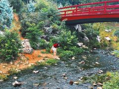 -羊山湖公园