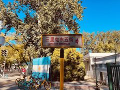 -三里屯东五街银杏大道
