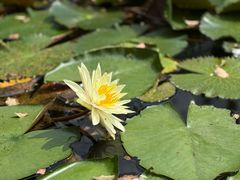 -杭州西子湖四季酒店-WL BISTRO西湖餐厅(灵隐路店)