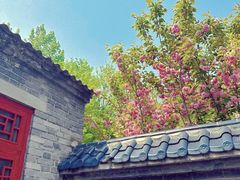 -泰和山景区
