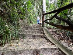 -海南热带雨林国家公园吊罗山景区