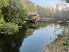 -上海滨江森林公园