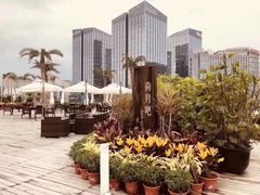 -北京云瑧金陵莲花酒店·莲·川小馆