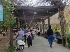 -白马涧龙池景区